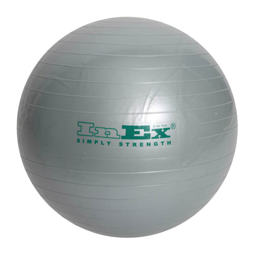 Мяч гимнастический INEX Swiss Ball, диаметр: 65 см