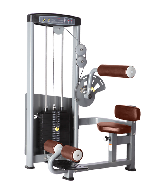 BRONZE GYM D-010 Пресс-машина (КОРИЧНЕВЫЙ)