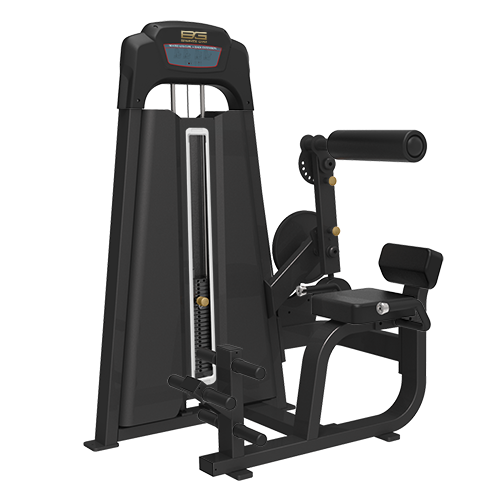 BRONZE GYM LD-9089 Скручивание на пресс/Разгибание спины