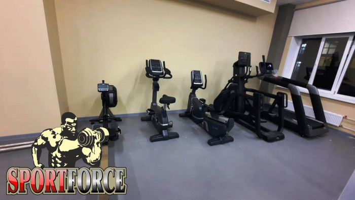 BRONZE GYM XE1200M PRO Эллиптический эргометр